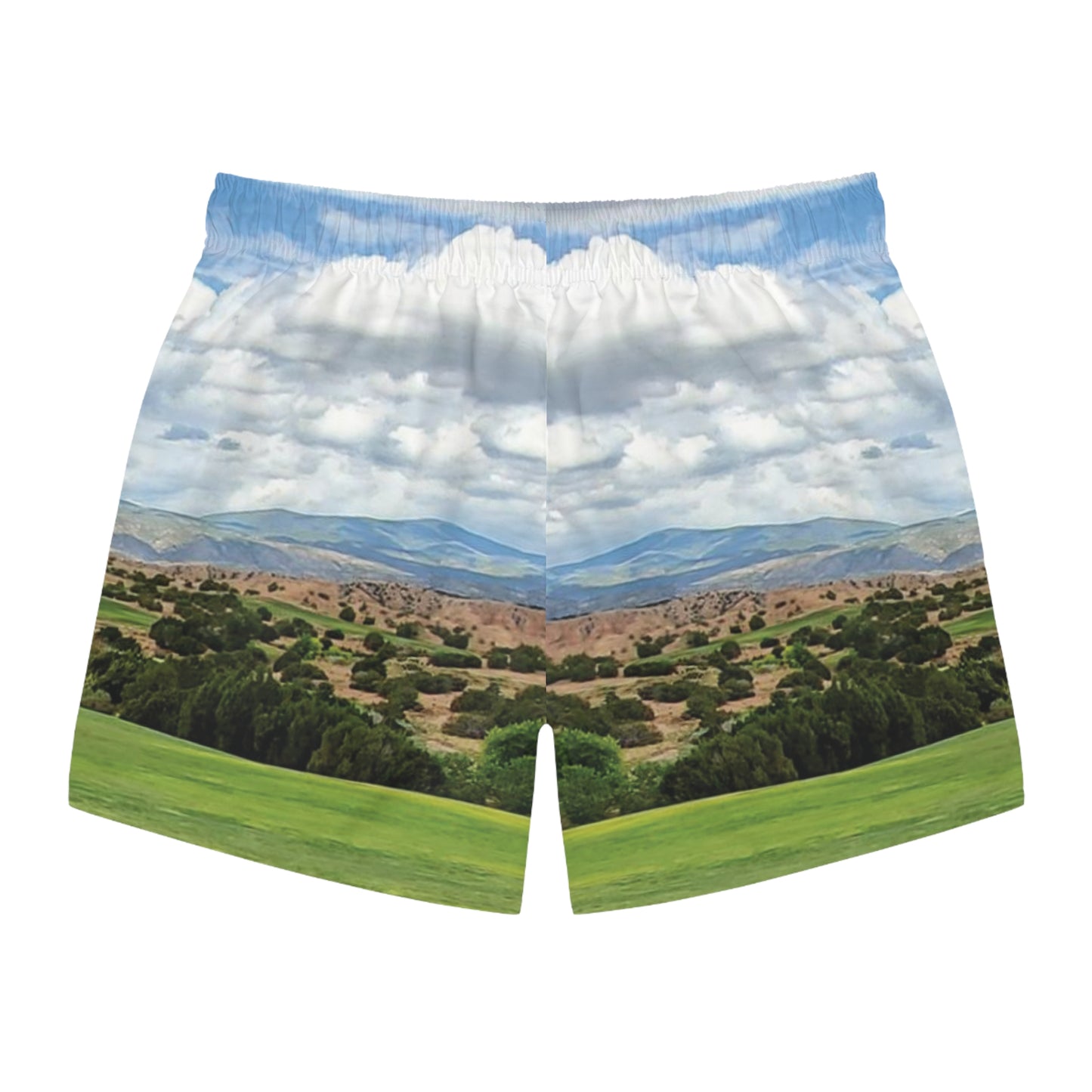 Towa Swim Trunks (AOP)